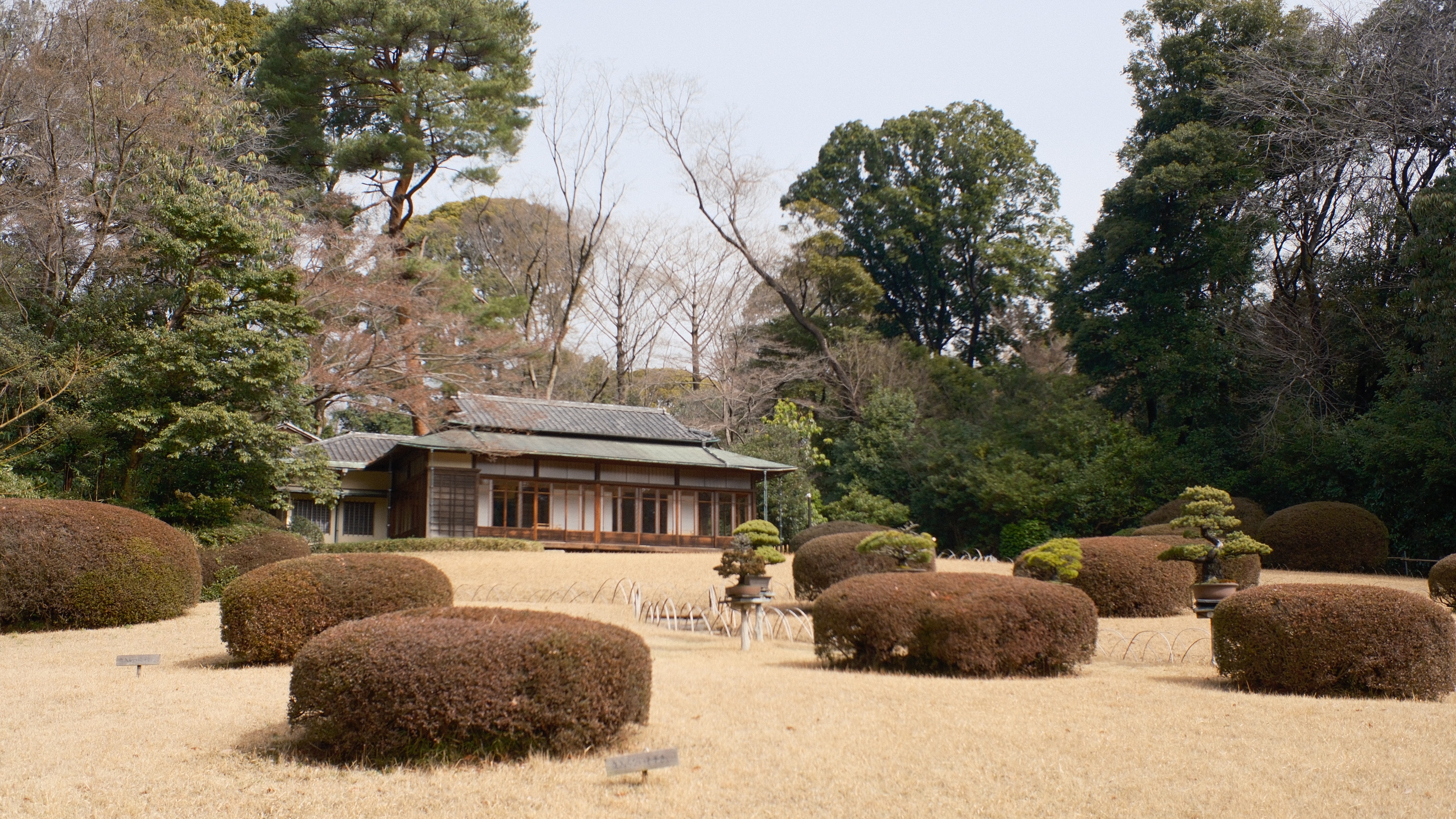 more of Tokyo!